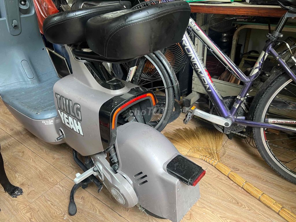 Xe 2024 - ảnh 3