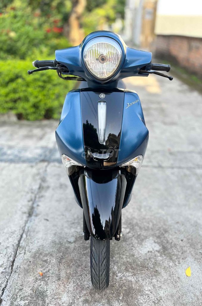 Yamaha Janus 2017 - ảnh 1