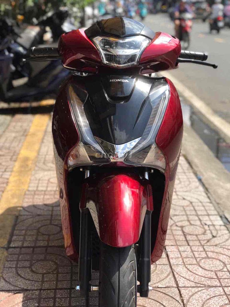 SHVN 2019 - ảnh 1