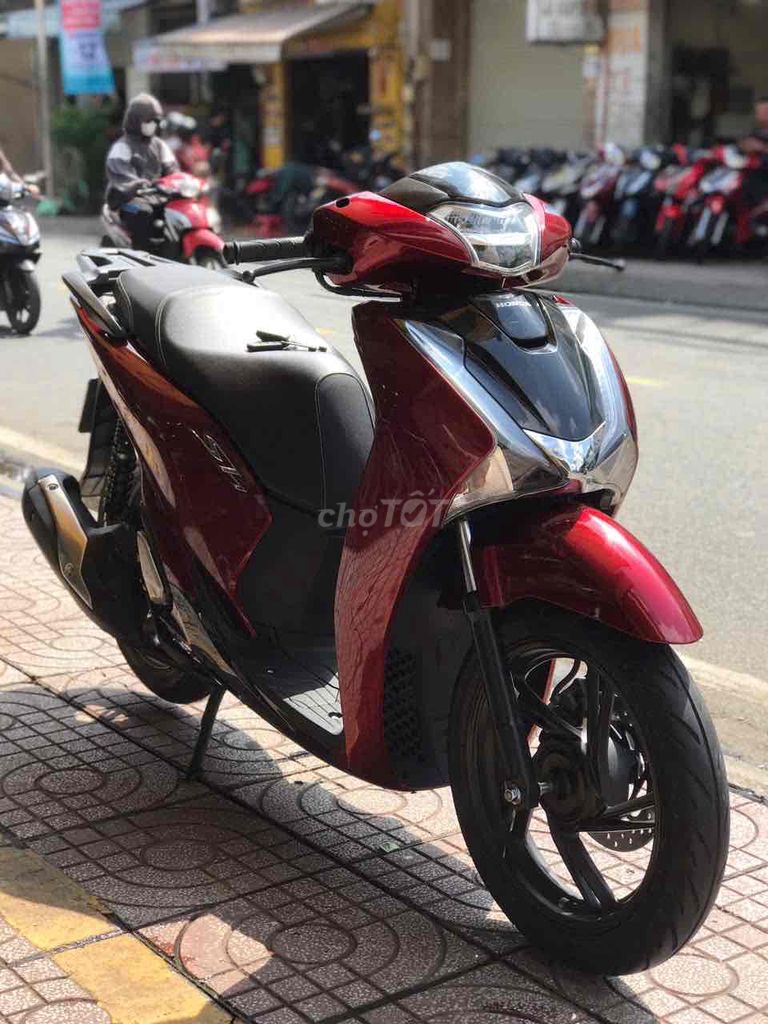 SHVN 2019 - ảnh 2