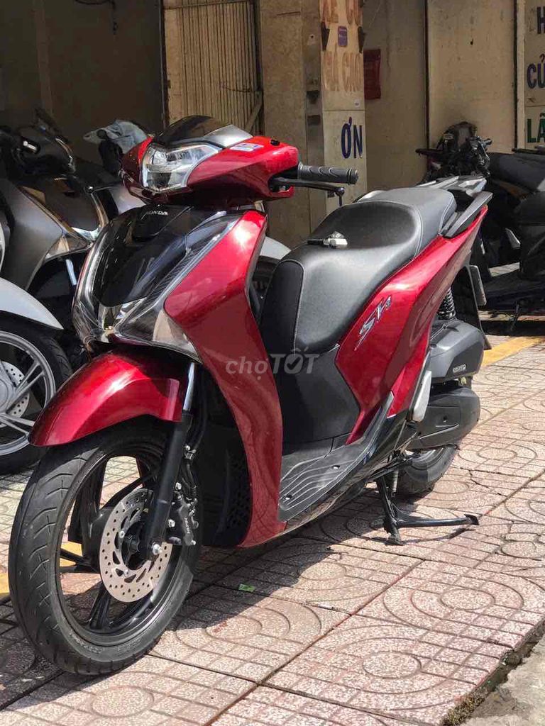 SHVN 2019 - ảnh 3