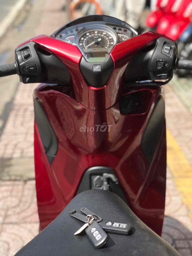 SHVN 2019 - ảnh 4
