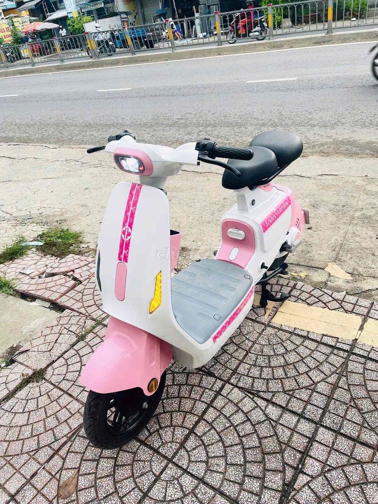 Xe m 2024 - ảnh 1