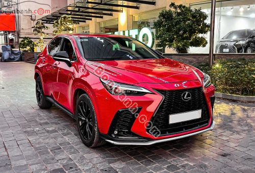 Lexus NX 2022 - ảnh 2