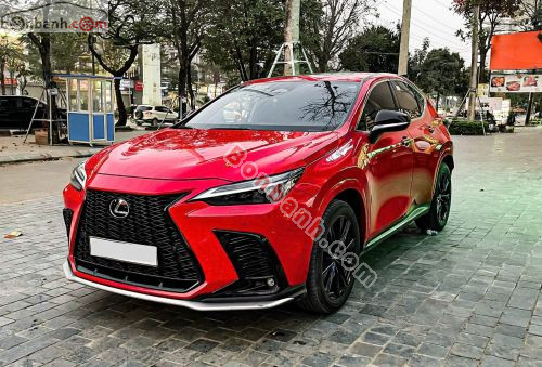 Lexus NX 2022 - ảnh 3