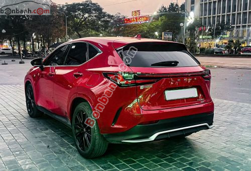 Lexus NX 2022 - ảnh 5