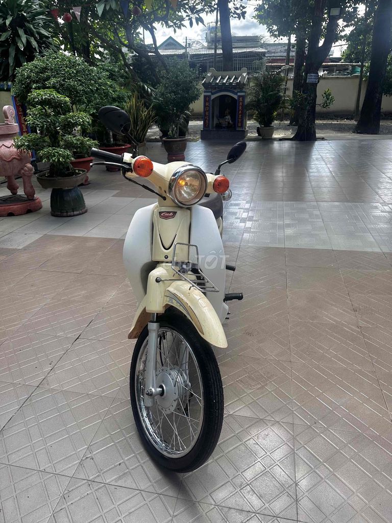 Xe m 2019 - ảnh 2