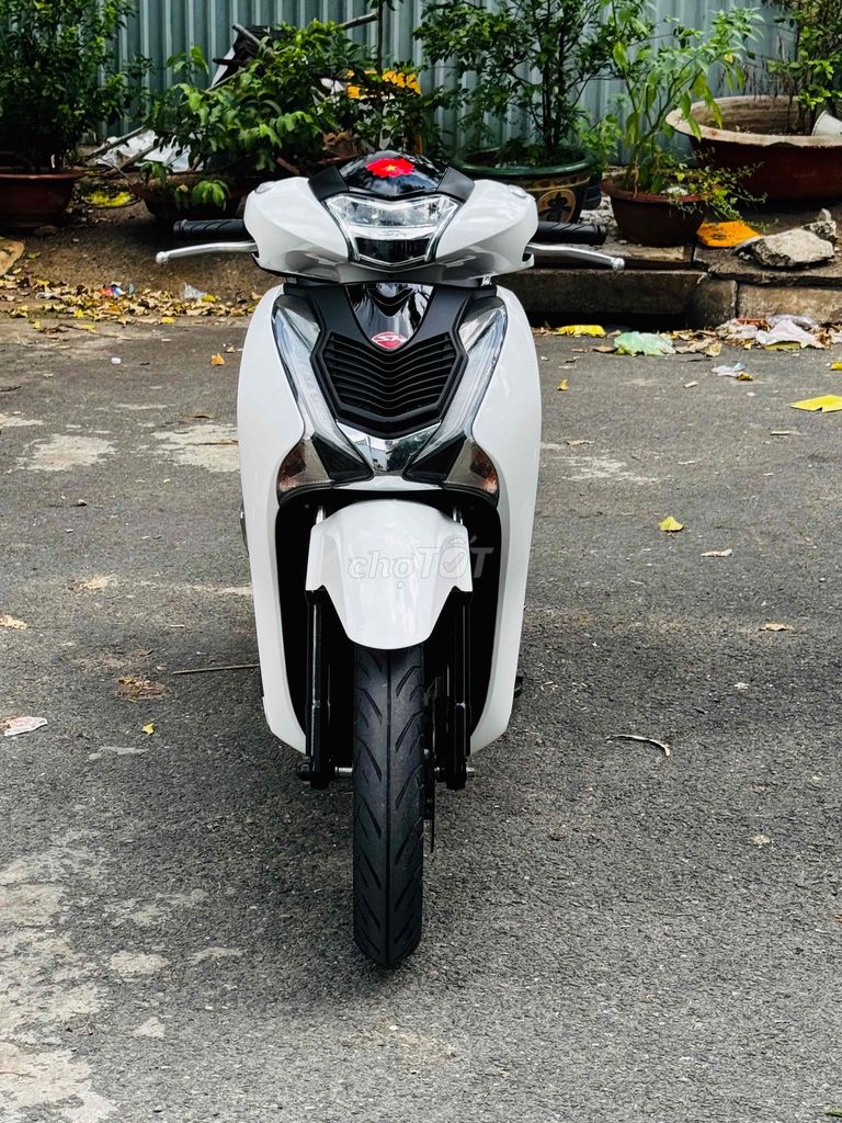 Honda SH 2019 - ảnh 3