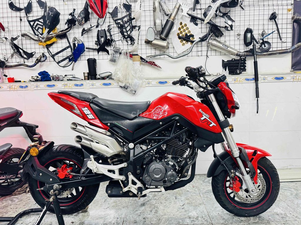 Benelli 2018 - ảnh 1