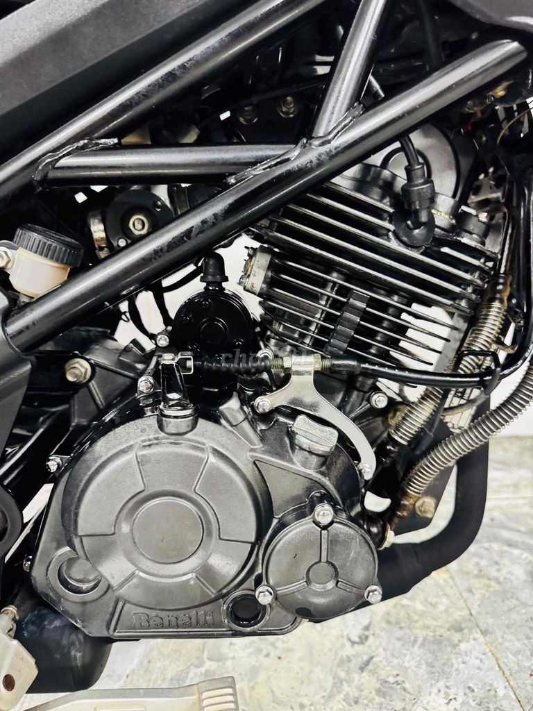 Benelli 2018 - ảnh 2