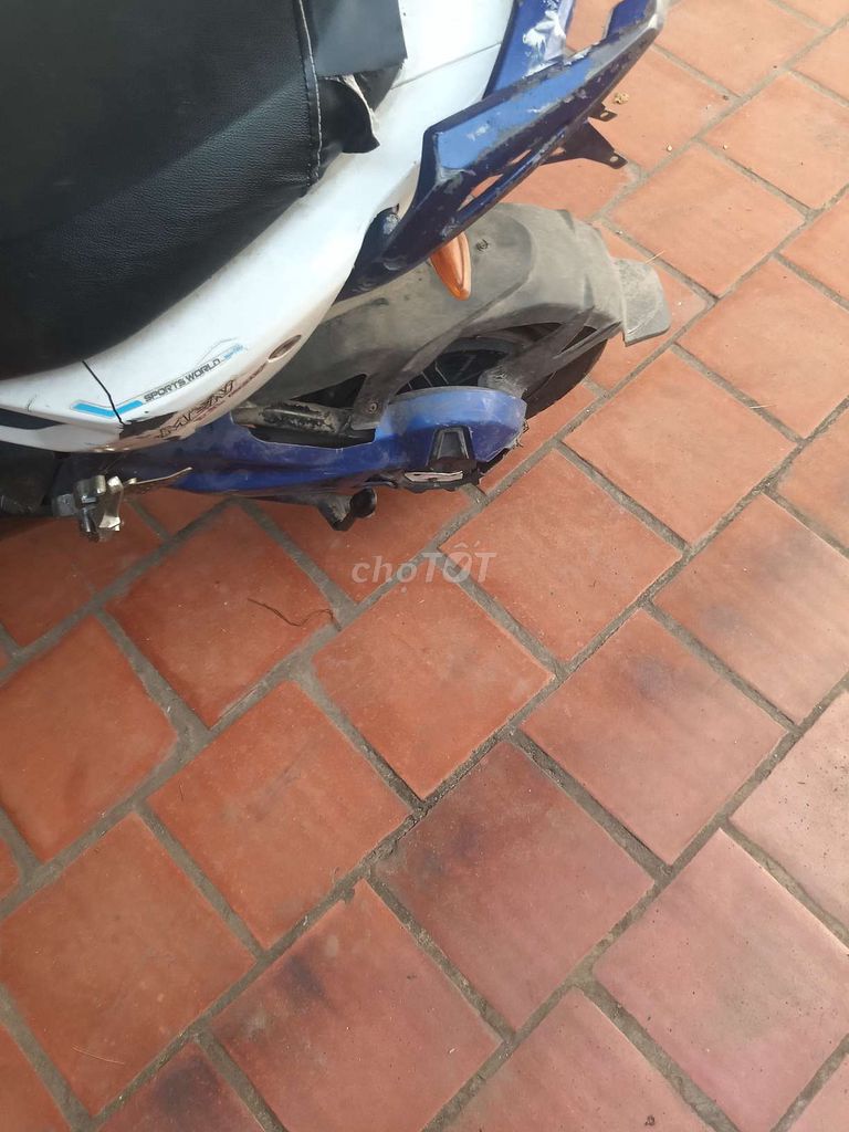 xe m 2025 - ảnh 1