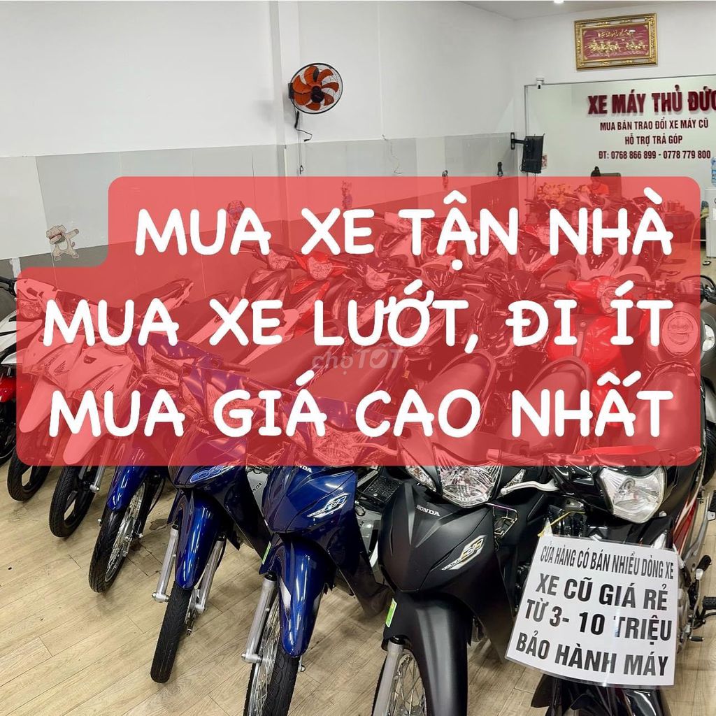 MUA XE 2022 - ảnh 1