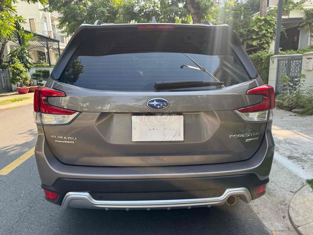 Subaru Forester 2024 - ảnh 5