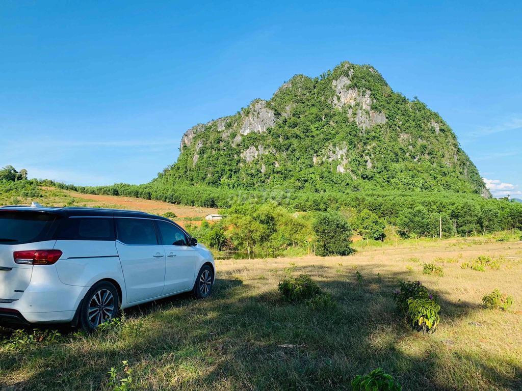 Kia Sedona - ảnh 1