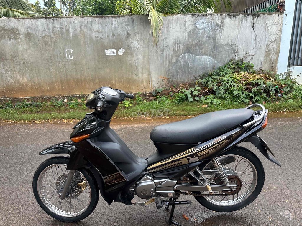 Yamaha Taurus 2010 - ảnh 3