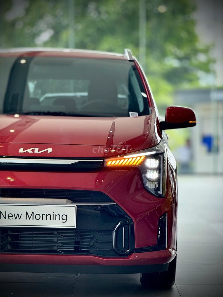 Kia - ảnh 2