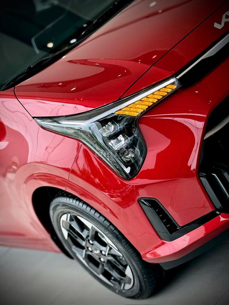 Kia - ảnh 4