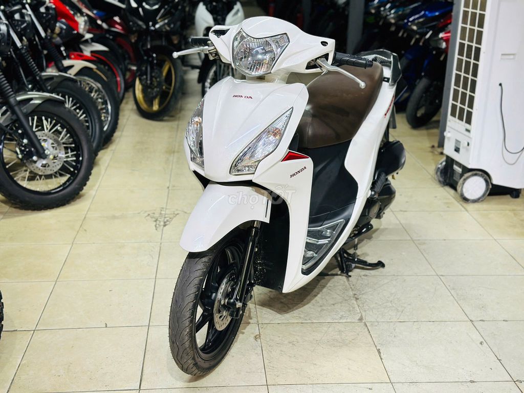 XE M 2019 - ảnh 1