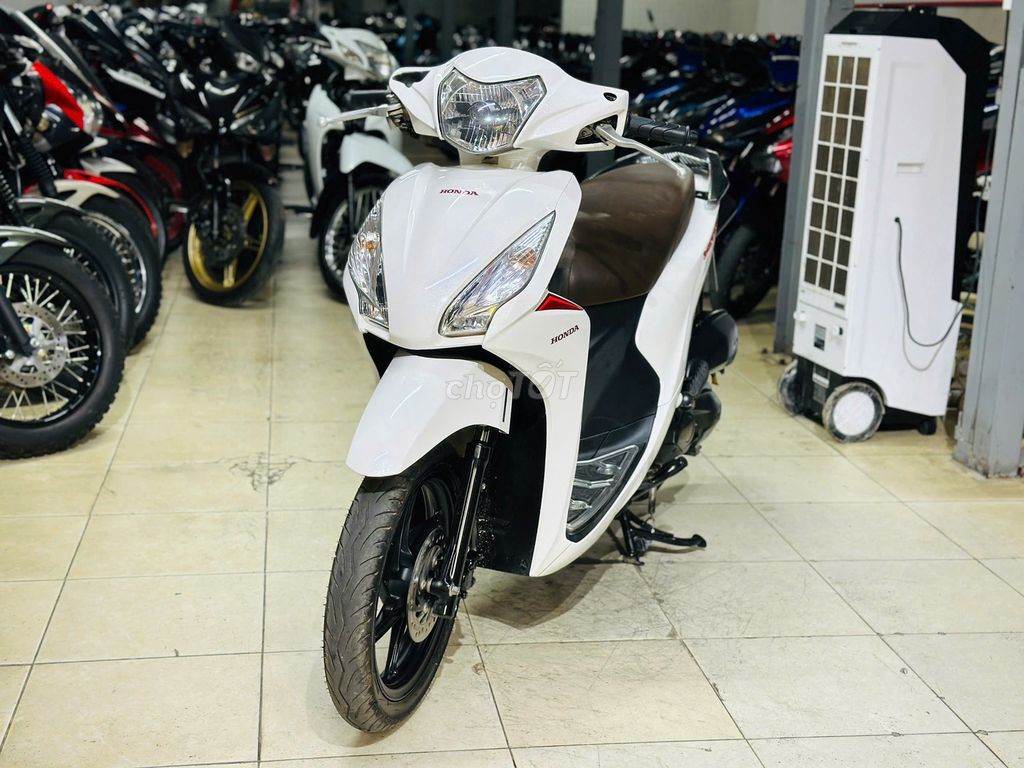 XE M 2019 - ảnh 2