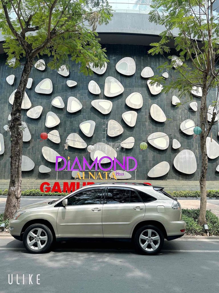 Lexus RX 2004 - ảnh 3