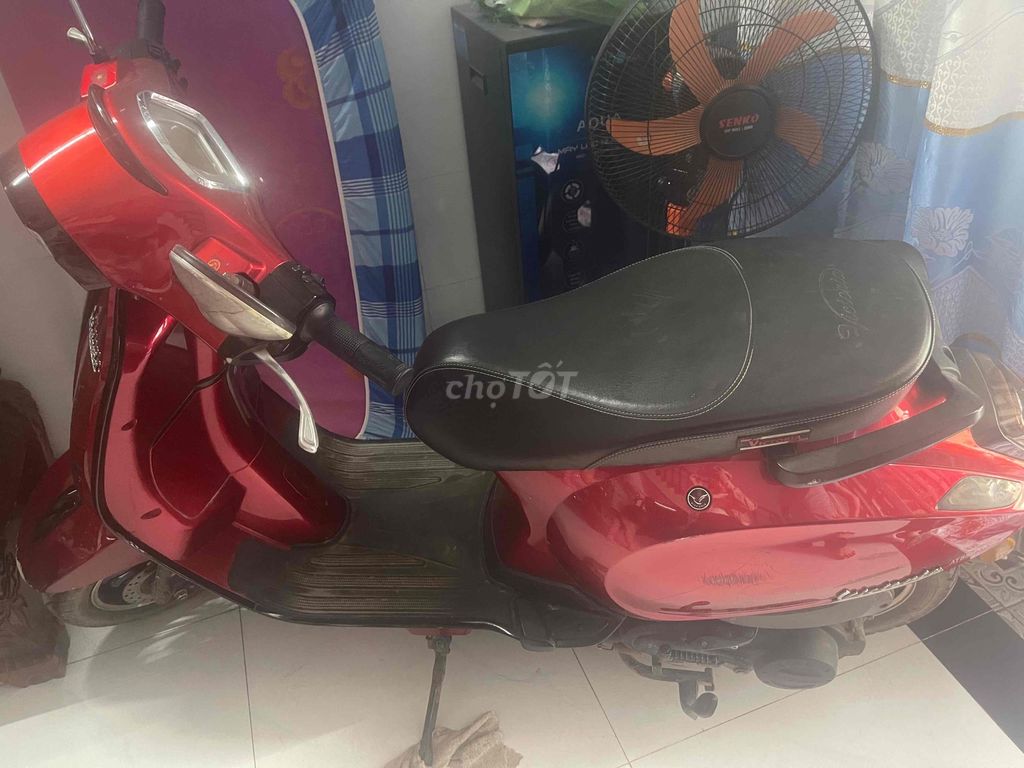 Xe m 2024 - ảnh 2