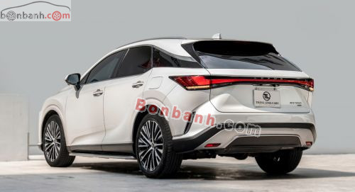 Lexus RX 350 Premium 2023 - ảnh 3