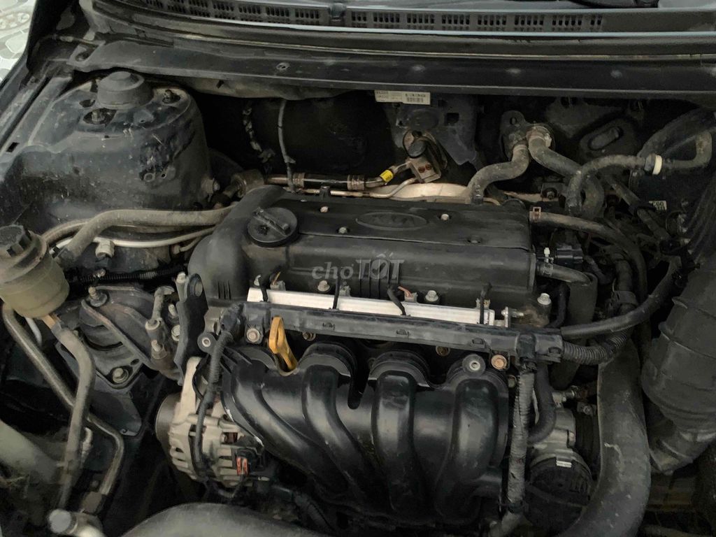 Kia Cerato 2010 - ảnh 5