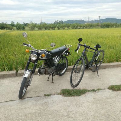 Honda 1980 - ảnh 1