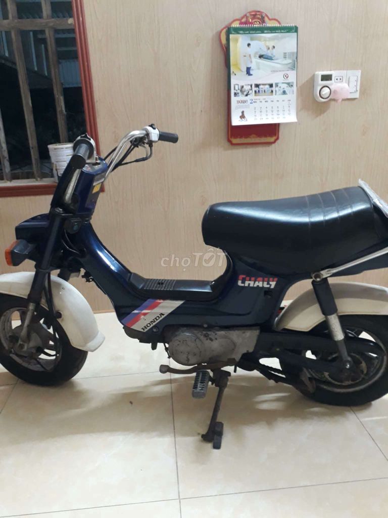 Honda Chaly 1986 - ảnh 1
