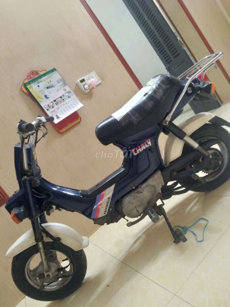 Honda Chaly 1986 - ảnh 3