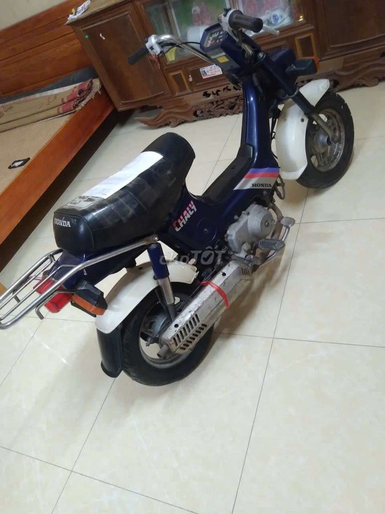 Honda Chaly 1986 - ảnh 4