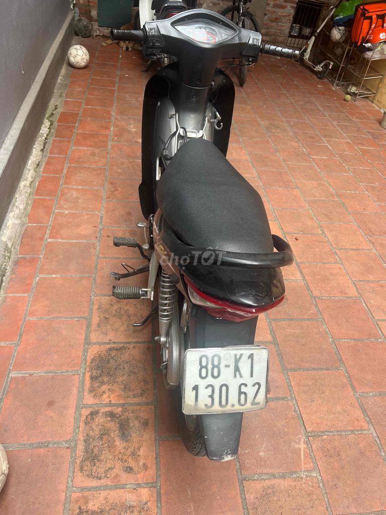 Honda Wave 2013 - ảnh 2