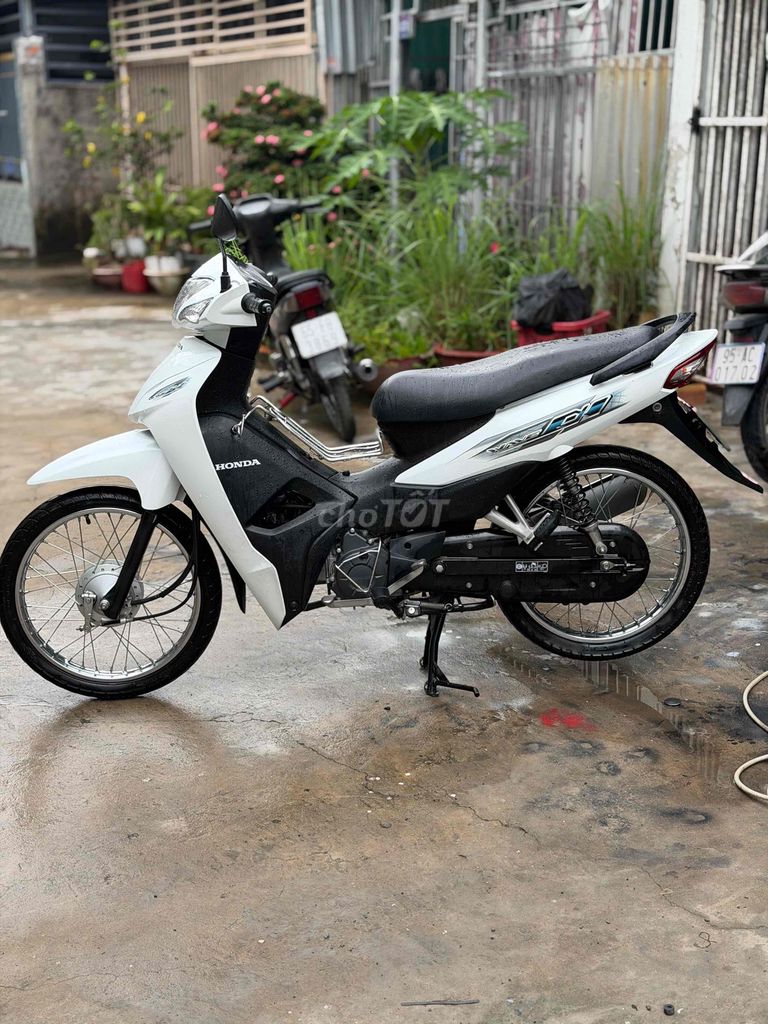 Honda Wave 2024 - ảnh 1