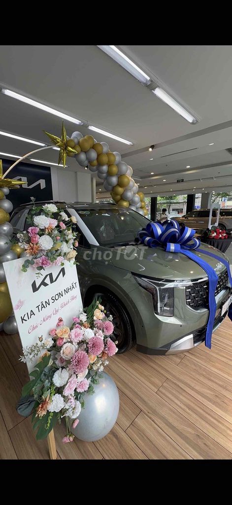 Kia Carnival - ảnh 3