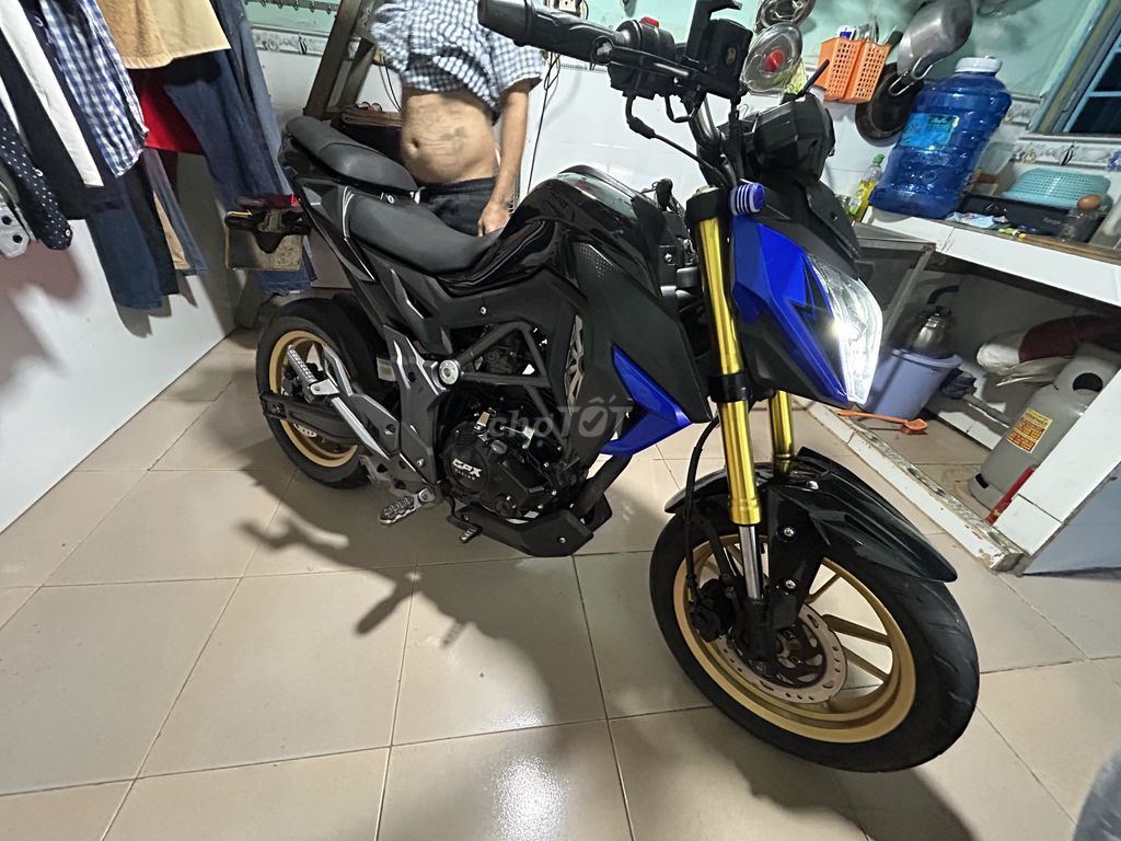 GPX 2022 - ảnh 1