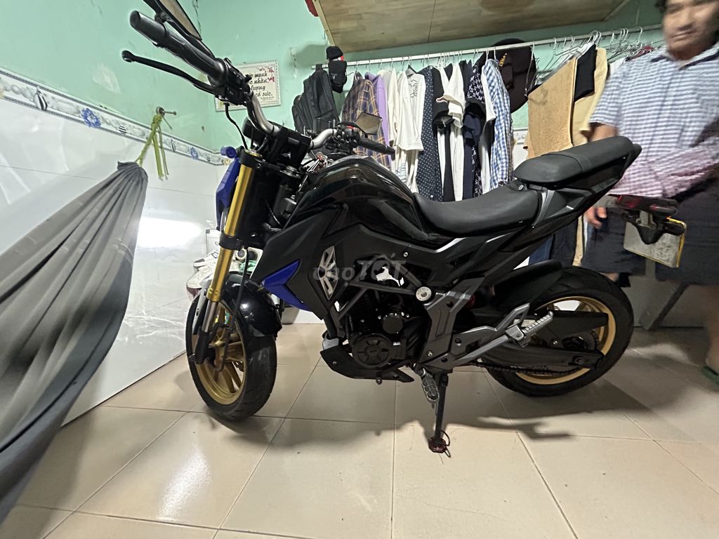 GPX 2022 - ảnh 2