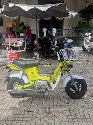 Honda Chaly 2026 - ảnh 1