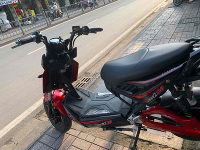 Xe m 2026 - ảnh 1