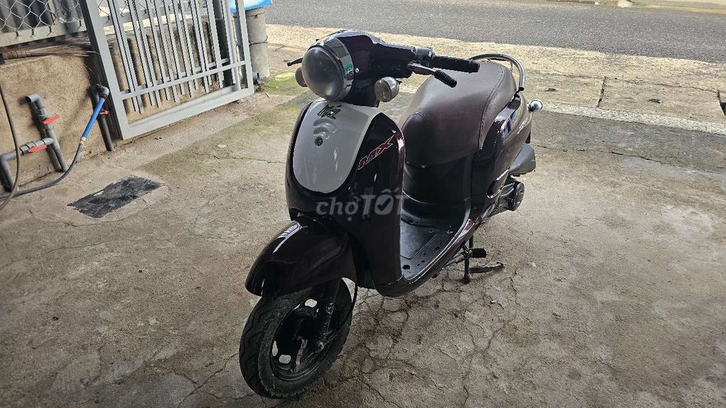 Xe tay 2010 - ảnh 2