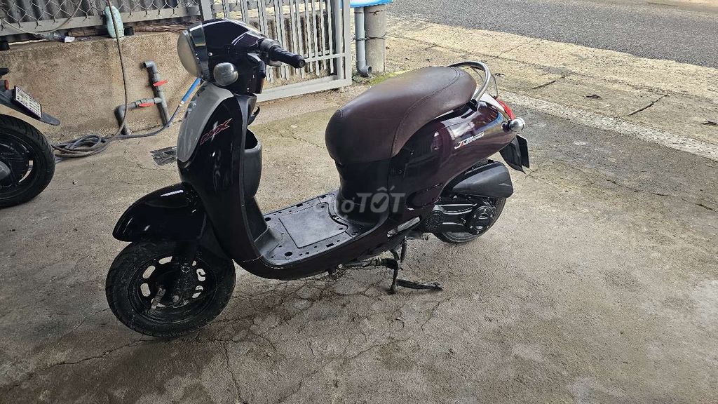 Xe tay 2010 - ảnh 3