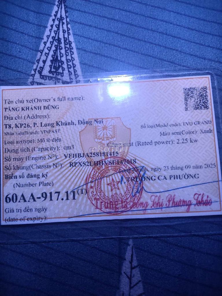 Xe m 2025 - ảnh 1