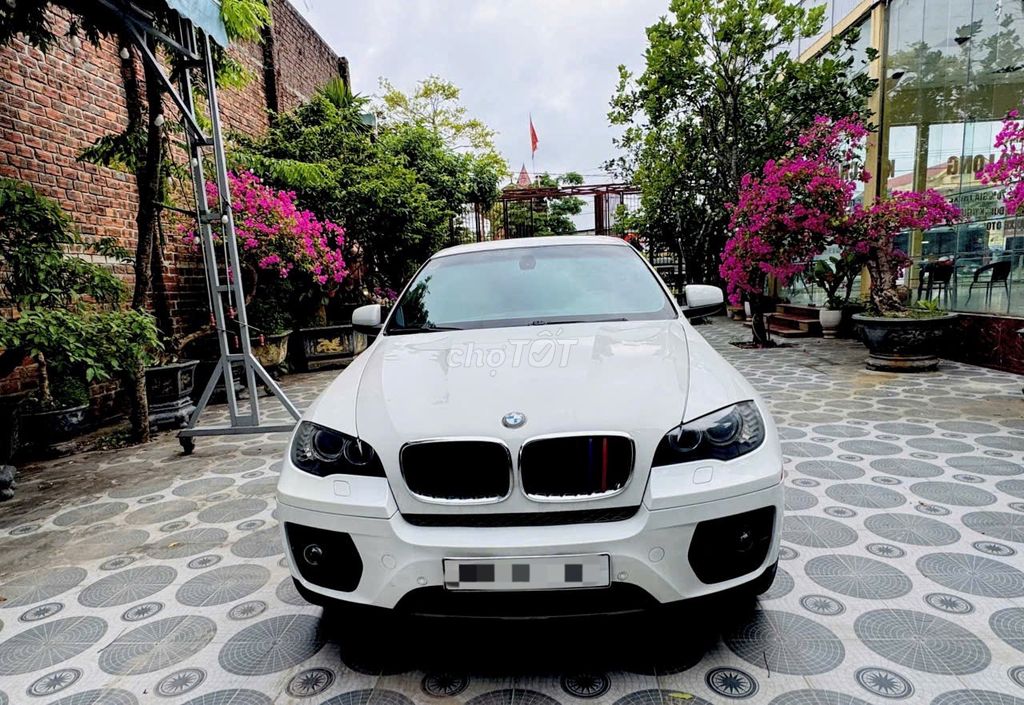 BMW X6 2010 - ảnh 1