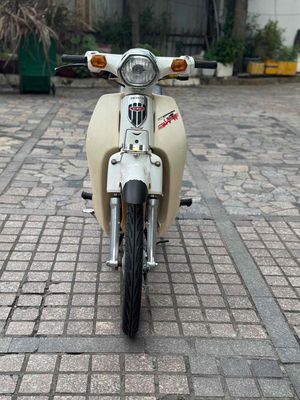 Cub 2020 - ảnh 1