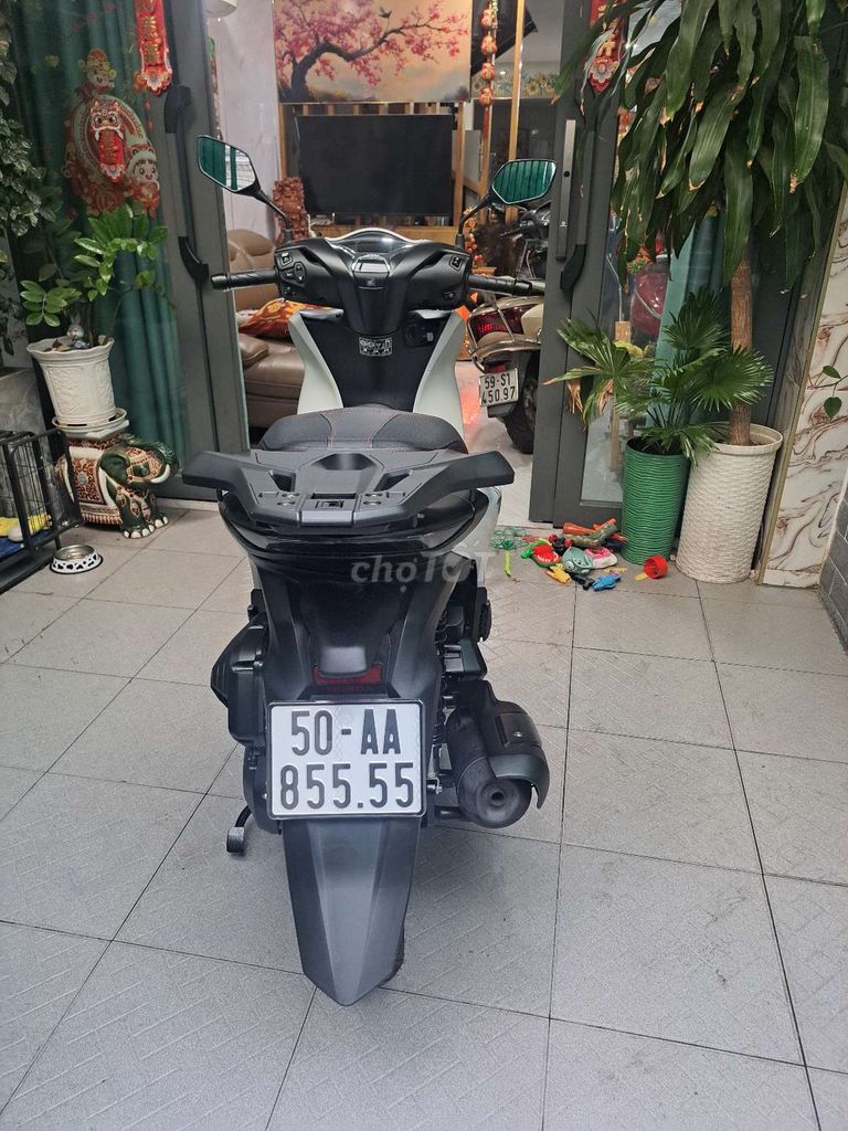 SH 2024 - ảnh 5