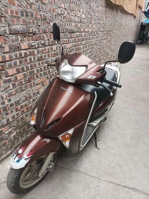 Honda Lead 2011 - ảnh 1