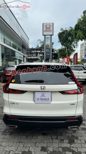 Honda CRV L 2024 - ảnh 4