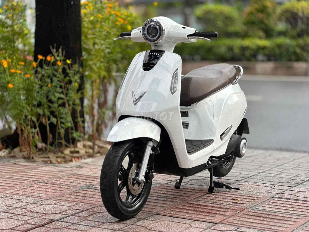 Xe m 2024 - ảnh 2