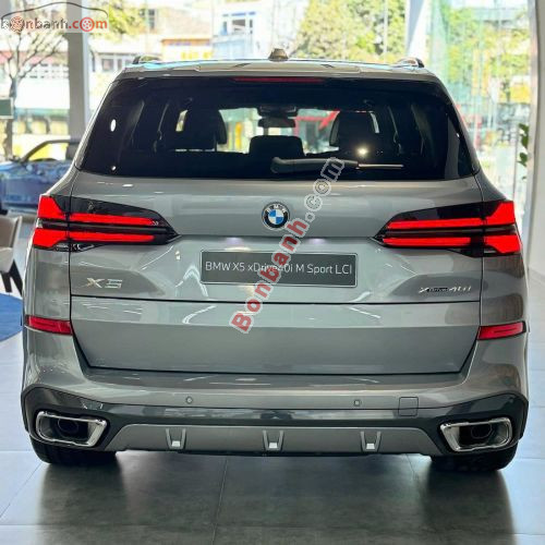 BMW X5 xDrive40i M Sport 2025 - ảnh 3