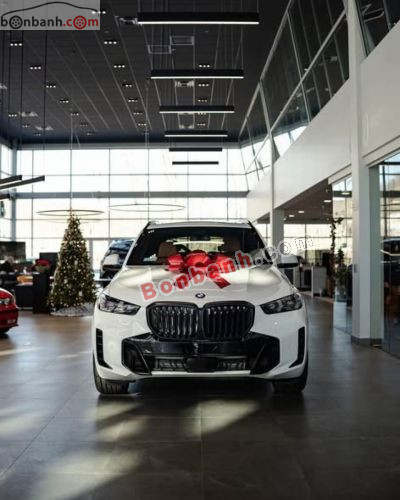 BMW X5 xDrive40i M Sport 2025 - ảnh 1