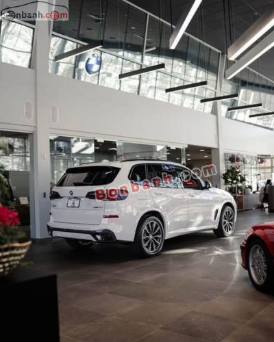 BMW X5 xDrive40i M Sport 2025 - ảnh 2